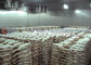 1000 R22 R404a тонн комнаты большого замораживателя холодной для цыплят рыб мяса
