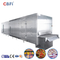 2000 кг/ч Быстрый туннельный морозильник Морозильная машина Продовольствие Замороженные фрукты овощи Морепродукты