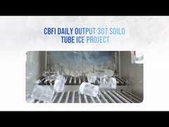 Европа 30 тонн Твердые плоские обрезанные концы трубчатого льдогенератора